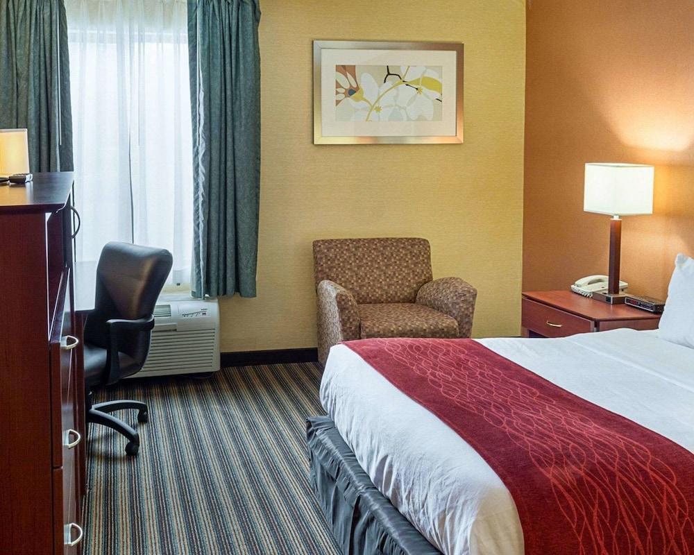 Comfort Inn Petersburg Near Fort Gregg-Adams Buitenkant foto