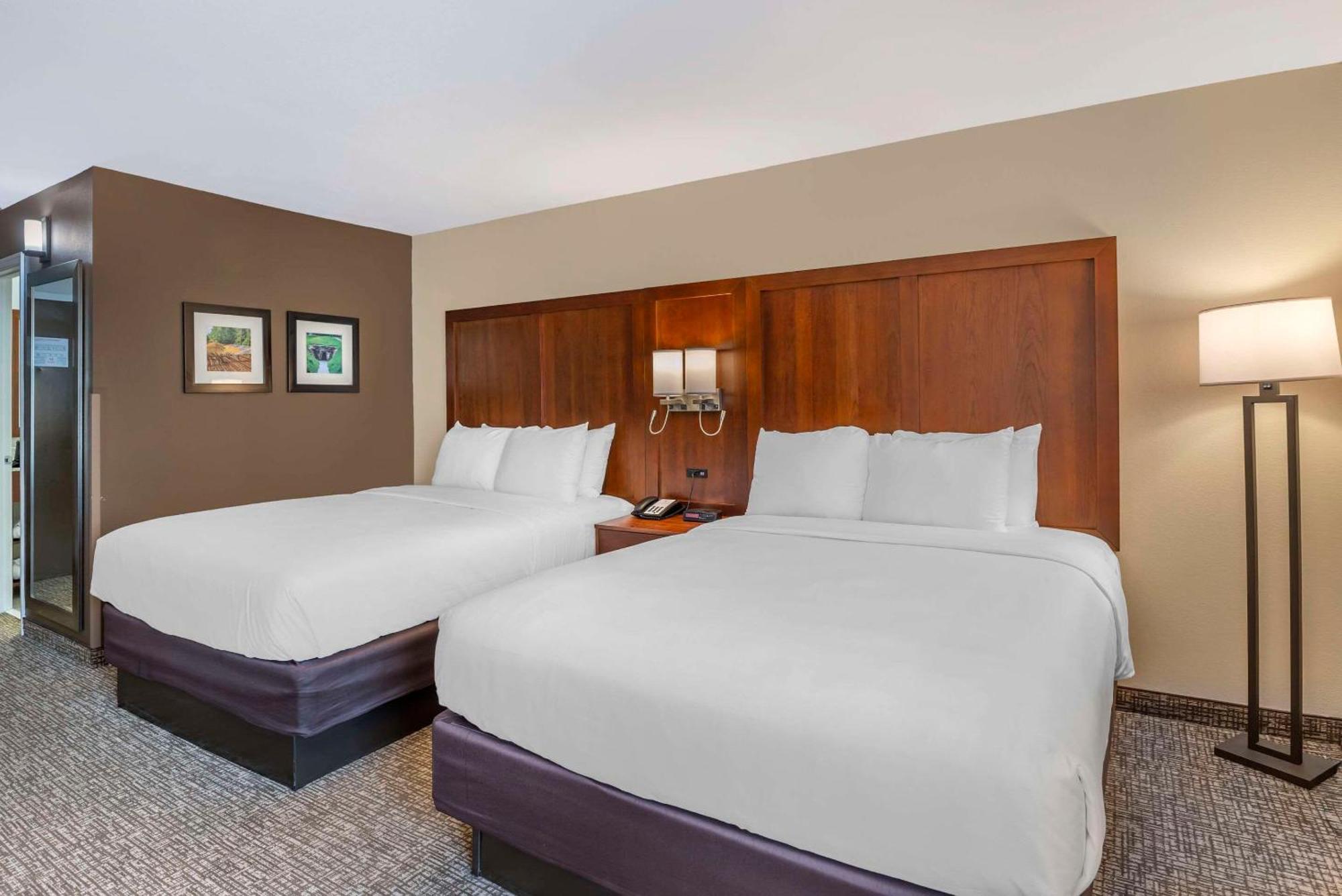 Comfort Inn Petersburg Near Fort Gregg-Adams Buitenkant foto