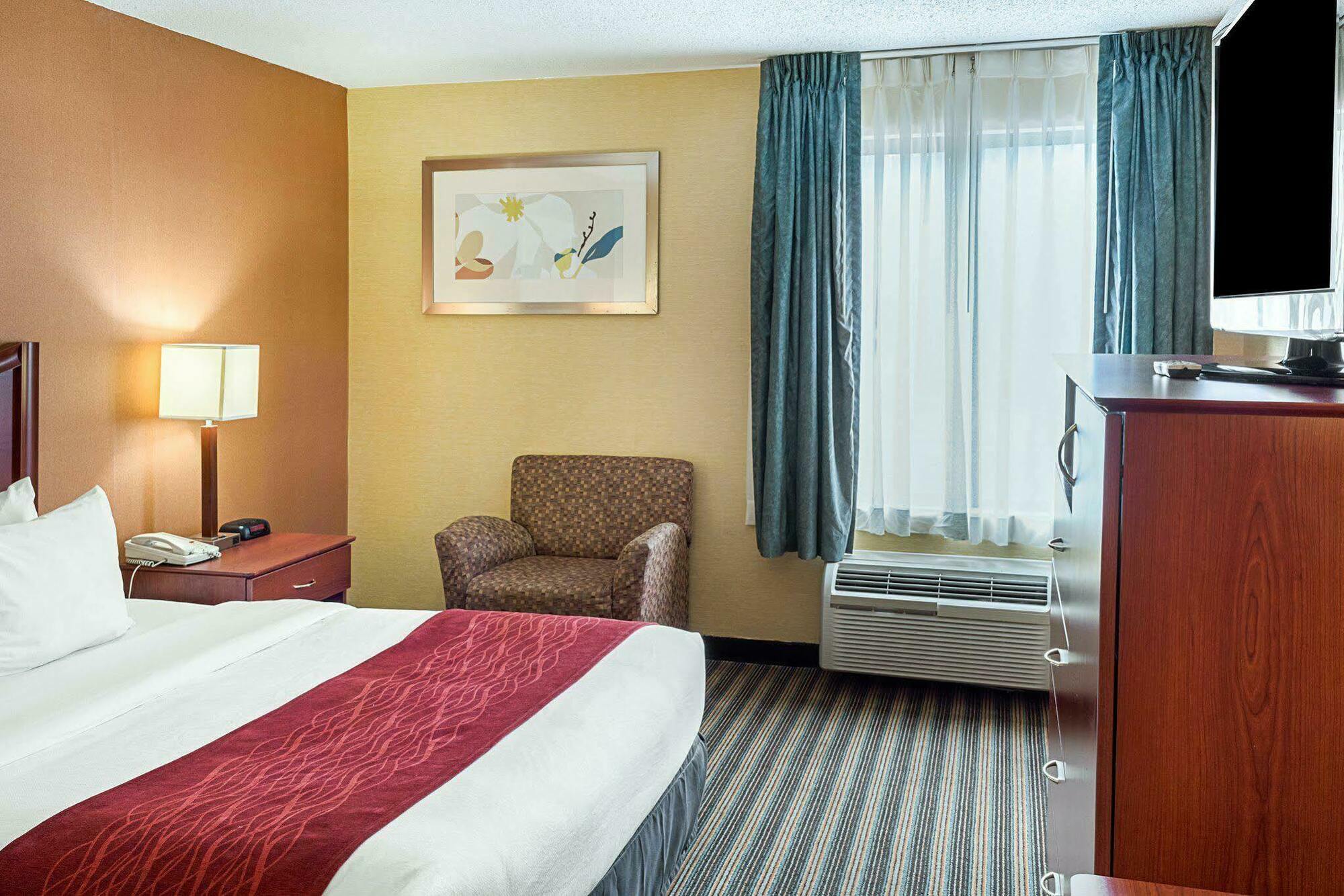 Comfort Inn Petersburg Near Fort Gregg-Adams Buitenkant foto
