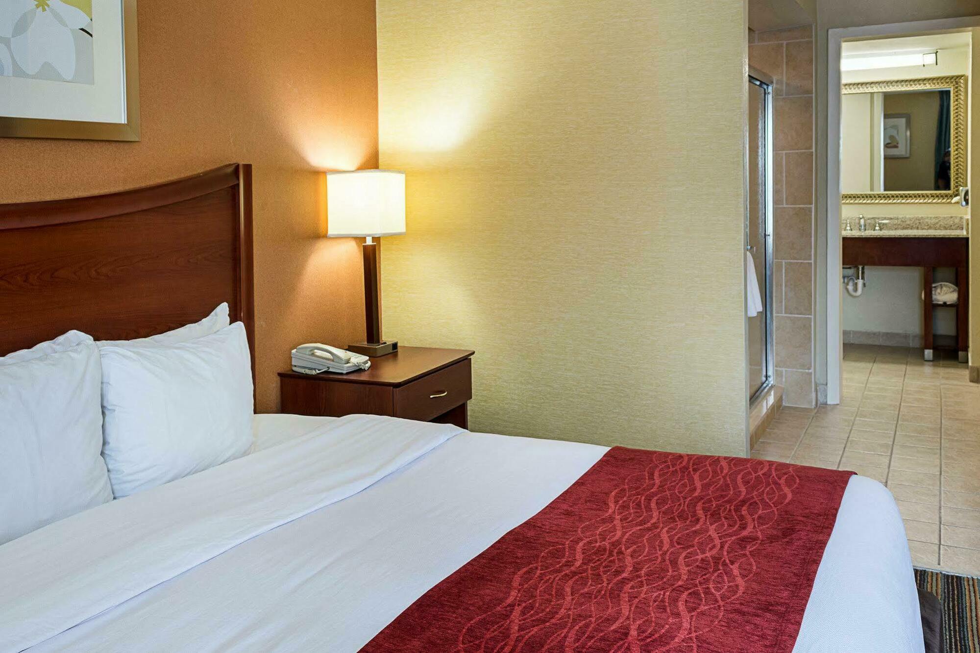 Comfort Inn Petersburg Near Fort Gregg-Adams Buitenkant foto